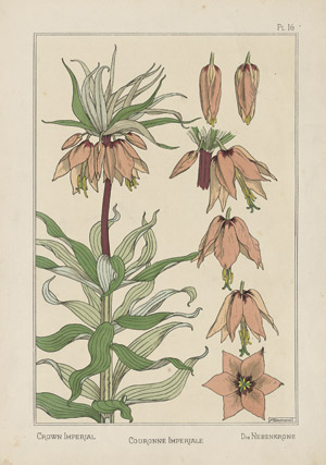 Lot 3295, Auction  101, Grasset, Eugène, La plante et ses application