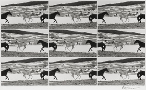 Los 4273 - Thomann, Peter - Bryor Mountain Wild Horse Ranch, Montana, USA  - 0 - thumb