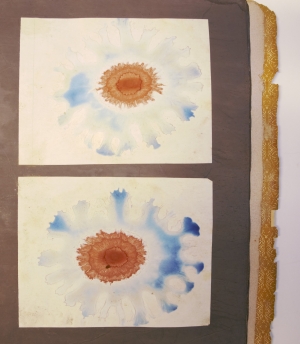 Los 352 - Runge, Friedrich Ferdinand - Der Bildungstrieb der Stoffe - 9 - thumb