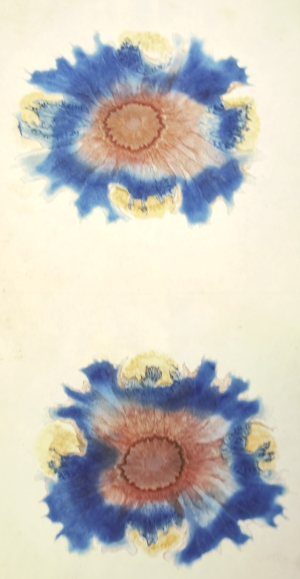 Los 352 - Runge, Friedrich Ferdinand - Der Bildungstrieb der Stoffe - 12 - thumb