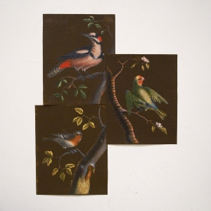 Los 366 - Drei Vogelstudien. Ein Specht, Papagei und Fink auf Astwerk - Gouache und Deckweiß über Federzeichnung auf Bütten - 2 - thumb