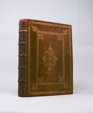 Los 374 - Merian, Maria Sibylla - Erucarum ortus - 6 - thumb