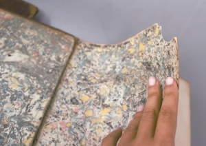 Los 508 - Castro, Joseph Rodriguez de - Biblioteca espanola - 8 - thumb