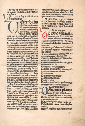 Petrus de Crescentiis, Ruralia commoda