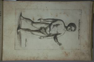 Los 1269 - Schmuck, Friedrich Wilhelm - Fasciculus admirandorum naturae - 10 - thumb