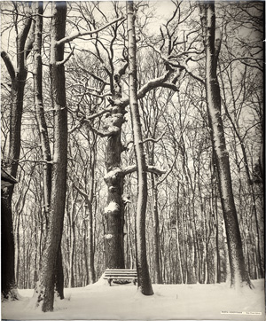 Los 4157 - Hoepffner, Marta - Winter scene - 0 - thumb