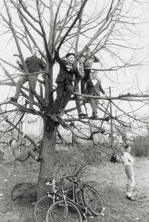 Los 4181 - McBride, Will - Boys in Tree watching Football Game, Berlin - 0 - thumb