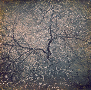 Los 4201 - Ostrovskaya, Rita - March; The Spring - 2 - thumb