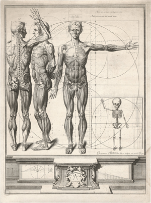 Los 5169 - Martínez y Sorlí, Crisóstomo Alejandrino José - Anatomische darstellungen zur Myologie und zur Osteopathie - 1 - thumb