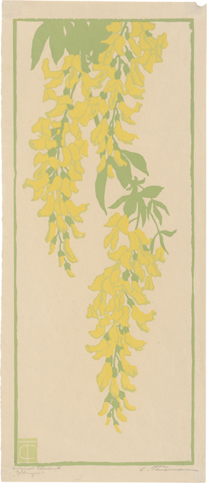 Los 5466 - Thiemann, Carl - Goldregen - 0 - thumb