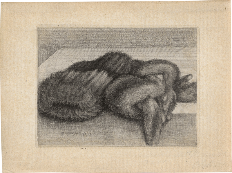 Lot 5137, Auction 126, Hollar, Wenzel, Gestreifter Muff und Pelzboa