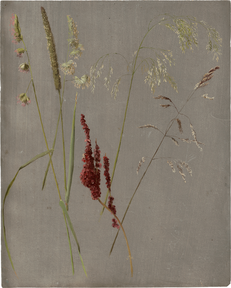 Lot 6097, Auction  126, Dalsgaard, Christen, Studie mit Wiesengräsern