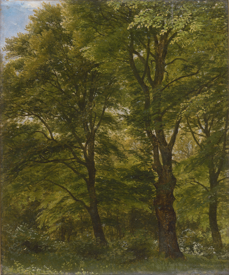 Lot 6129, Auction 126, Skovgaard, Peter Christian Thamsen, Bäume im Park von Charlottenlund.