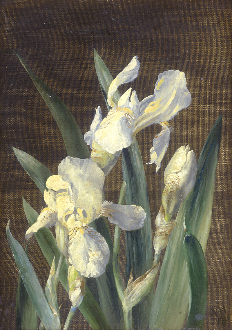 Lot 6220, Auction  126, Dänisch, 1901. Studie mit weißen Iris