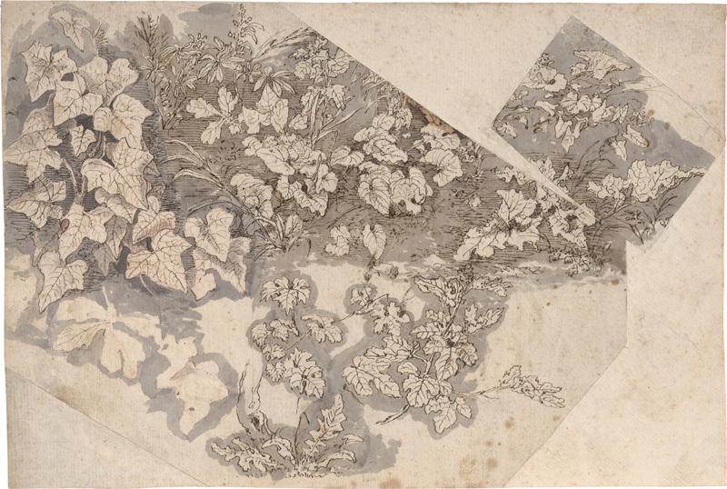 Lot 6532, Auction 126, Verwer, Johan, Pflanzenstudie mit Rankengewächsen und Gräsern