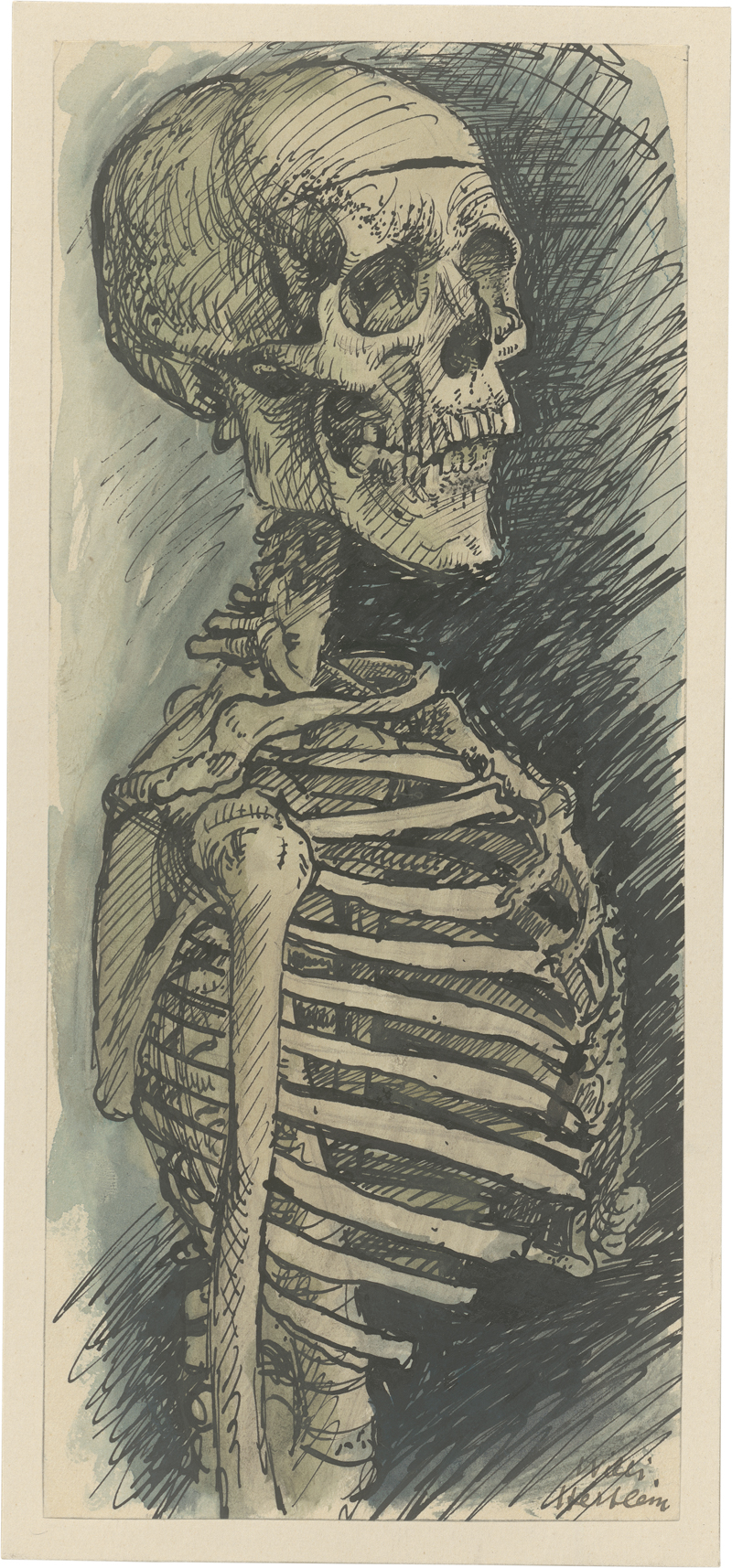 Lot 8126, Auction 126, Hertlein, Willi, Skelett