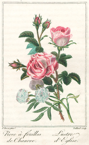 Lot 356, Auction  127, Malo, Charles, Histoire des roses