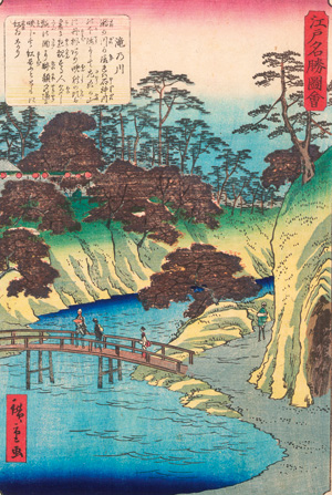 Los 619 - Hiroshige II., Utagawa - Oji Taki-no-gawa. Shakujii-Fluss am Wasserfall in der Oji-Provinz  - 0 - thumb