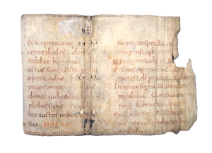 Los 1002 - Jesus Sirach - Fragment einer frühmittelalterlichen Bibelhandschrift mit Passagen aus dem Buch Ecclesiasticus. Lateinische Handschrift auf Pergament. - 2 - thumb