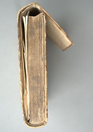 Los 1029 - Rosarium philosophorum - Alchemistische Sammelhandschrift. Deutsche Handschrift auf Papier.  - 6 - thumb