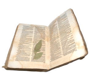 Los 1227 - Augustinus, Aurelius - Opera omnia - 8 - thumb