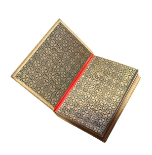 Los 2028 - Prachteinband - von Ferdinardo Ongania - 3 - thumb