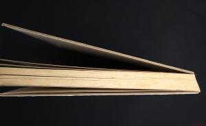 Los 3336 - Vaccari, Franco - Esposizione in tempo reale - 5 - thumb