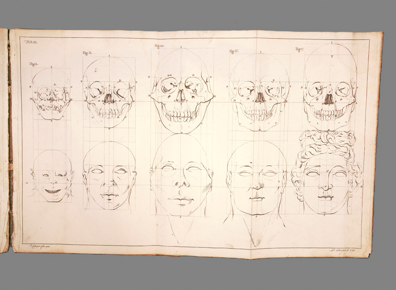 Lot 306, Auction  127, Camper, Peter, Über den natürlichen Unterschied der Gesichtszüge in Menschen