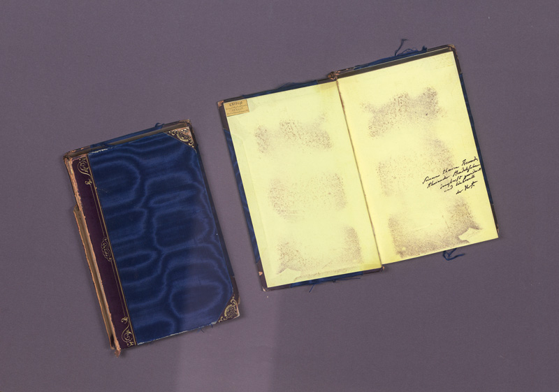 Lot 338, Auction  127, Humboldt, Alexander von, Ansichten der Natur. Stuttgart und Tübingen, Cotta, 1849. - Maßgebliche dritte Auflage