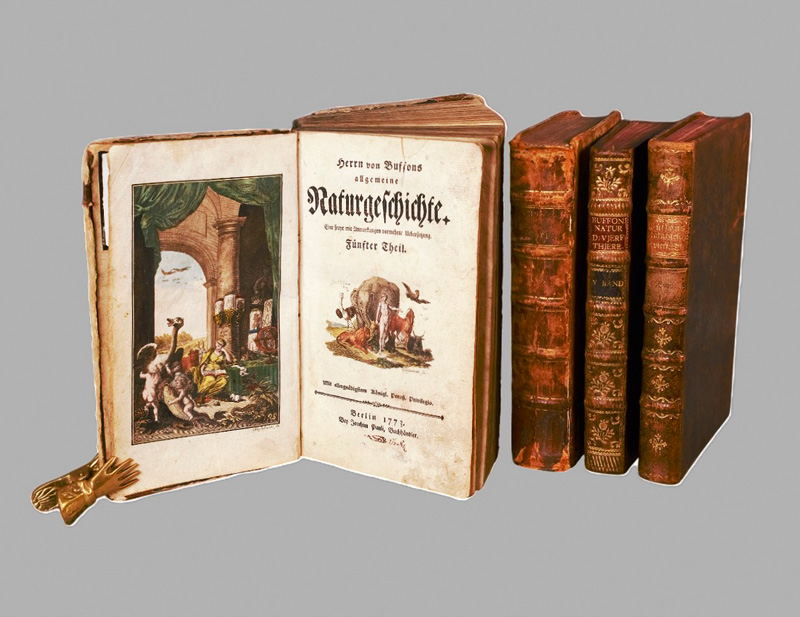 Lot 347, Auction 127, Buffon, Georges Louis Leclerc Comte de, Allgemeine Naturgeschichte. Fünfter (-Siebenter u. letzter) Theil