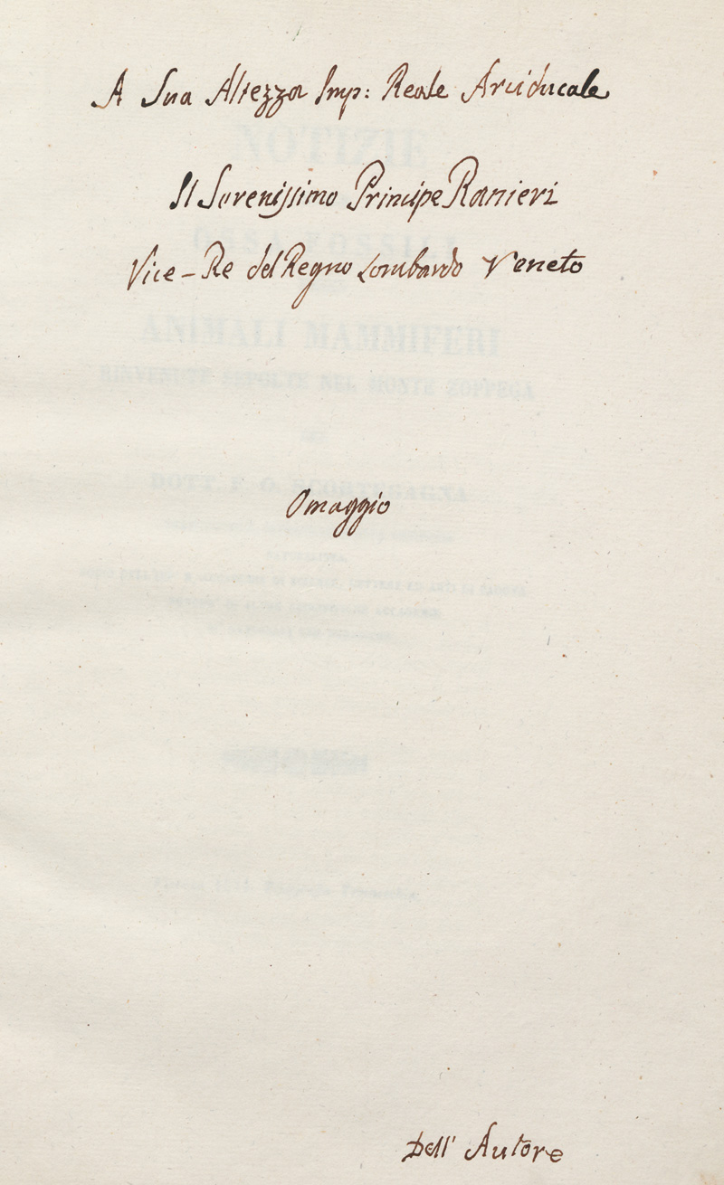 Lot 1299, Auction  127, Scortegagna, F. O., Notizie sulle ossa fossili degli animali mammiferi