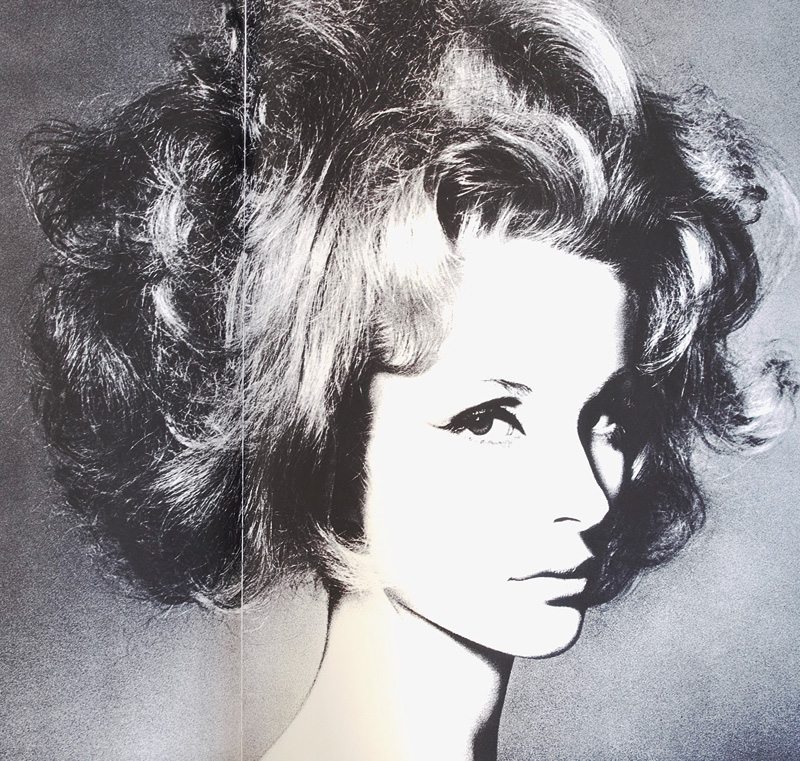 Lot 3395, Auction  127, Capote, Truman und Avedon, Richard - Illustr., Observations